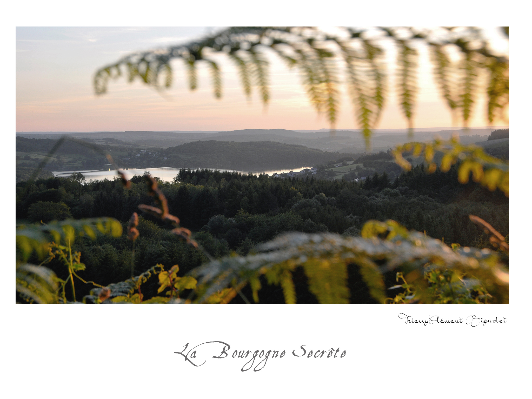 019 BOURGOGNE2016 20481